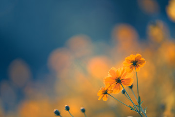 描写小狗崽儿的词语