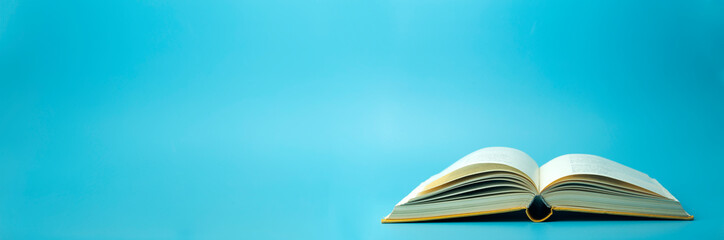 丰田霸道上的字母txl什么意思