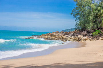 iphone 8的使用手册在哪儿