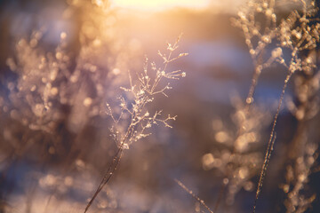 面相额头的命运解析