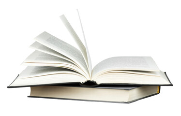 LOL WE战队成员介绍