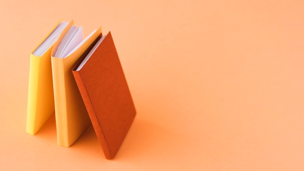 秦昭襄王后还有几位秦王