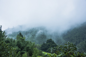 三星 Note 9、新智慧表Galaxy Watch 规格、售价外泄资讯总整理